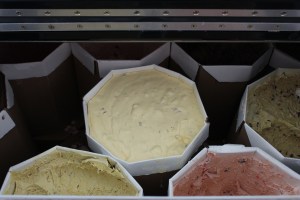 Richardsonsfarmnh 024